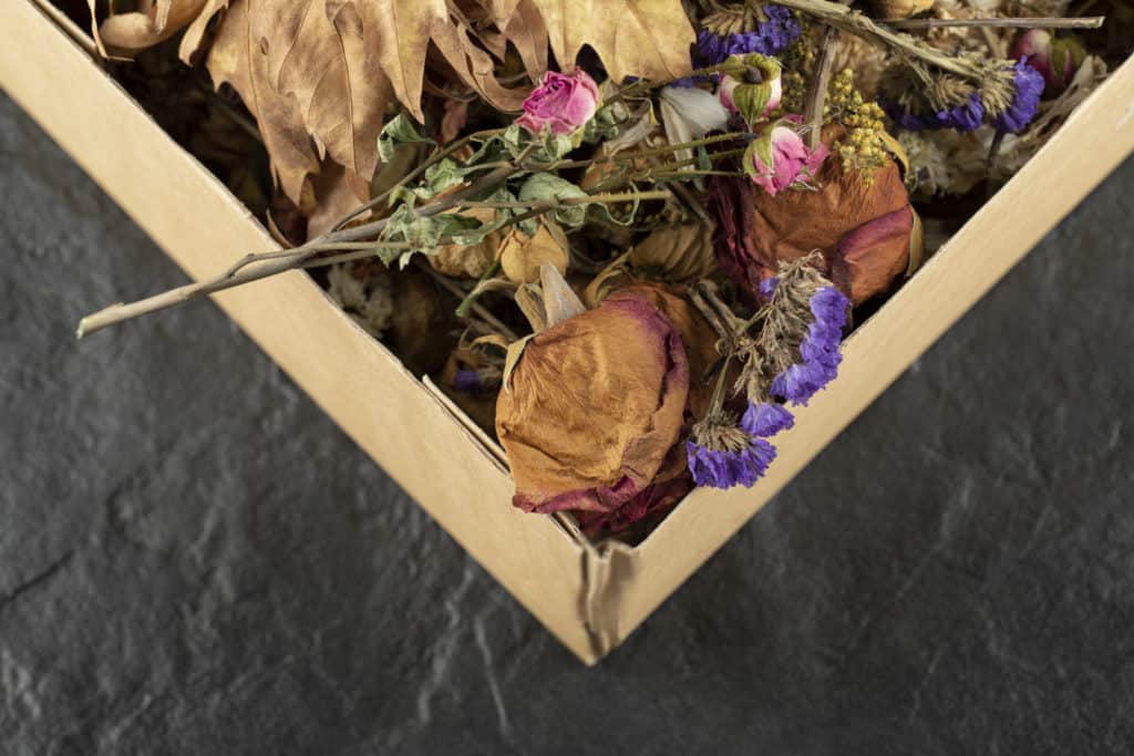 this is a picture of dried flowers