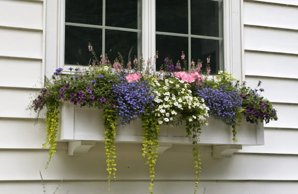 flower box under window