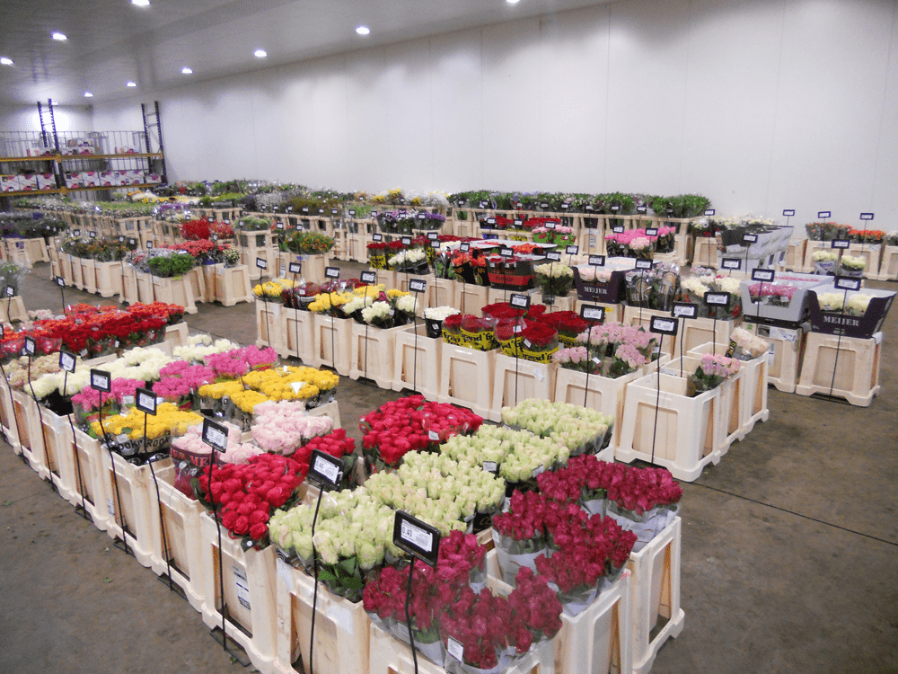 bulk flowers boxes