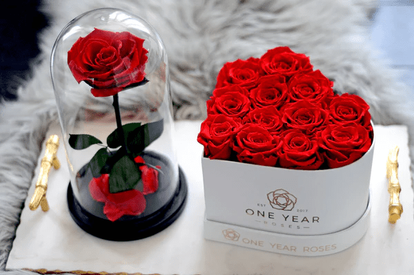 How do roses in a box last a year