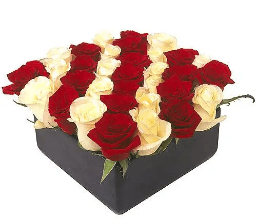 box of roses delivery 